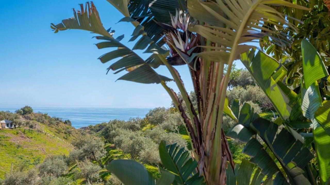 Vila Casa Elena De Benagalbon Rincon De La Victoria By Ruralidays Exteriér fotografie